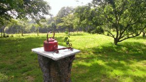 Minicamping Le Mas Bellanger  in Frankrijk - heerlijk genieten